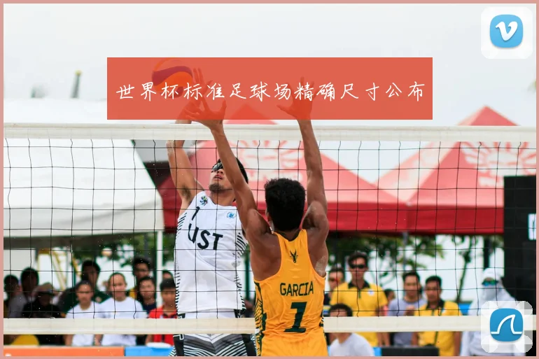 世界杯标准足球场精确尺寸公布