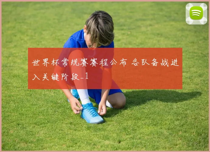 世界杯常规赛赛程公布 各队备战进入关键阶段_1