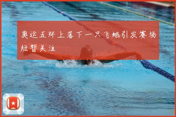 奥运五环上落下一只飞蛾引发赛场短暂关注