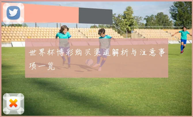 世界杯博彩购买渠道解析与注意事项一览