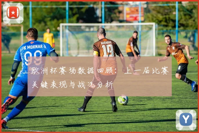 欧洲杯赛场数据回顾：上一届比赛关键表现与战况分析