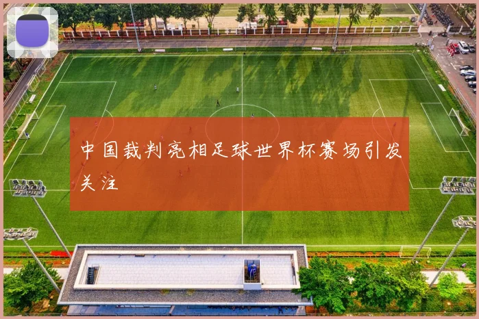 中国裁判亮相足球世界杯赛场引发关注