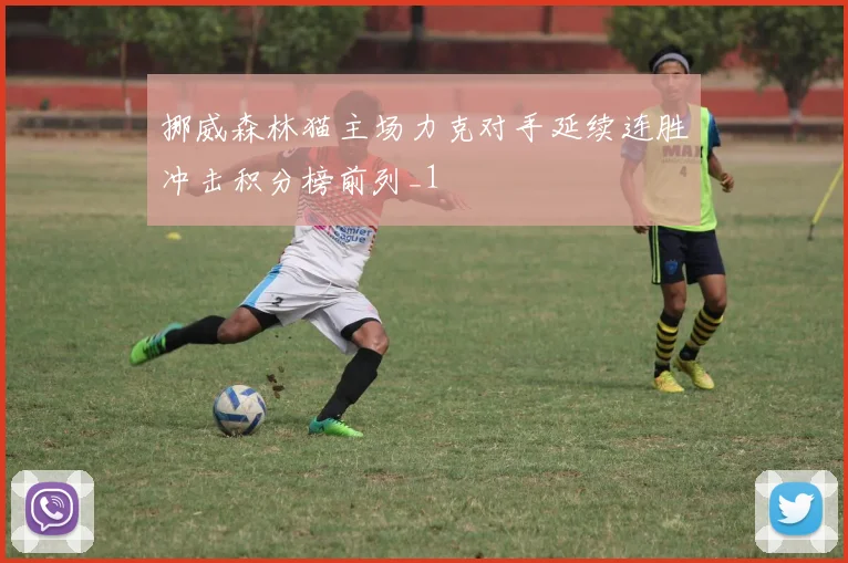 挪威森林猫主场力克对手延续连胜冲击积分榜前列_1