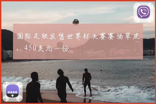 国际足联发售世界杯决赛赛场草皮,450美元一份