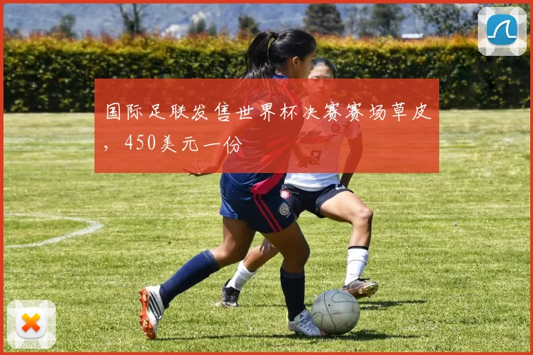 国际足联发售世界杯决赛赛场草皮，450美元一份