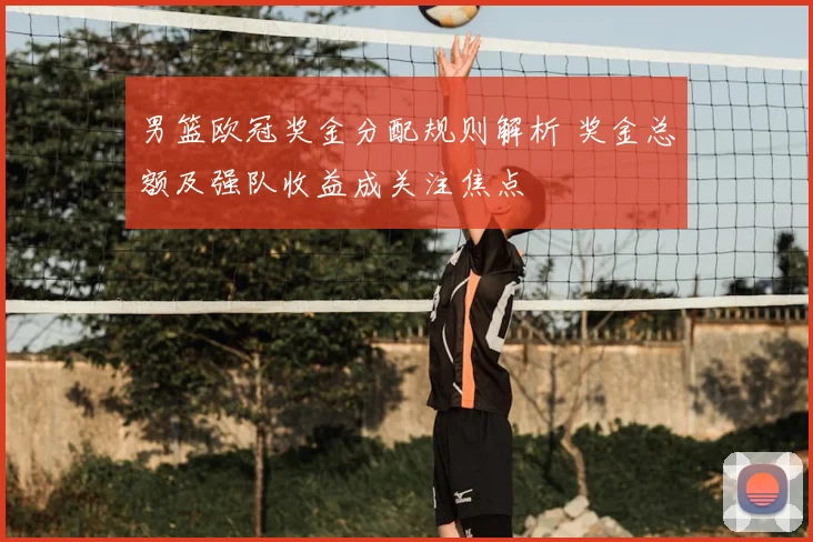 男篮欧冠奖金分配规则解析 奖金总额及强队收益成关注焦点