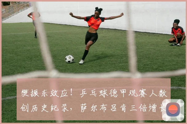 樊振东效应！乒乓球德甲观赛人数创历史纪录，萨尔布吕肯三倍增长
