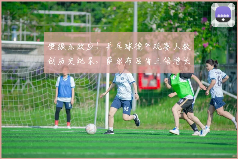 樊振东效应!乒乓球德甲观赛人数创历史纪录,萨尔布吕肯三倍增长