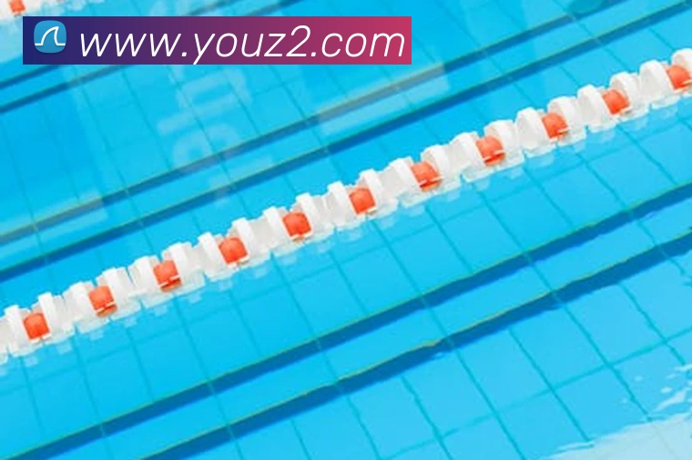 必一运动b官网APP 体育赛事宣传图